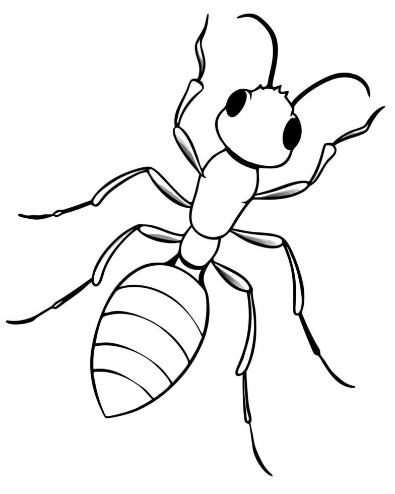 an ant, illustration line art vector