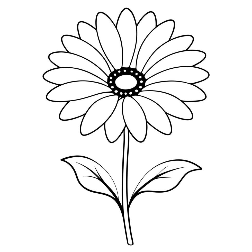 a osteospermum with two leaves, illustration line art vector