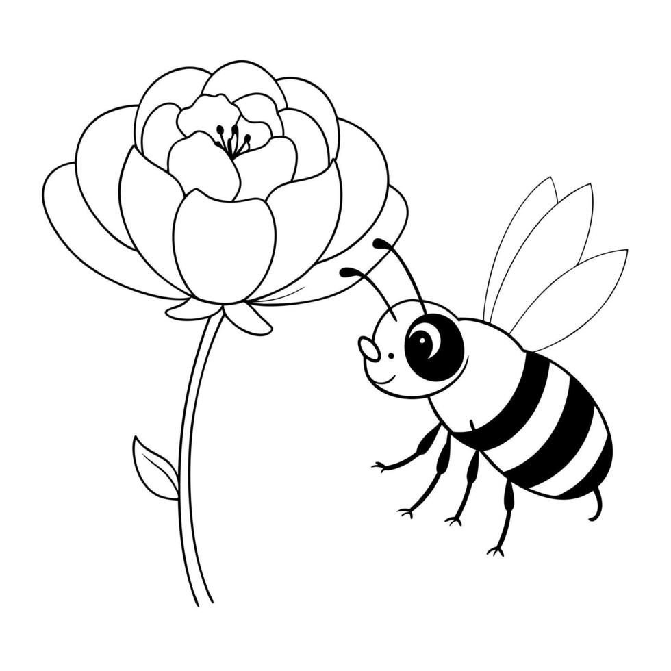 a bee is extracting honey from a ranunculus flower, illustration line art vector
