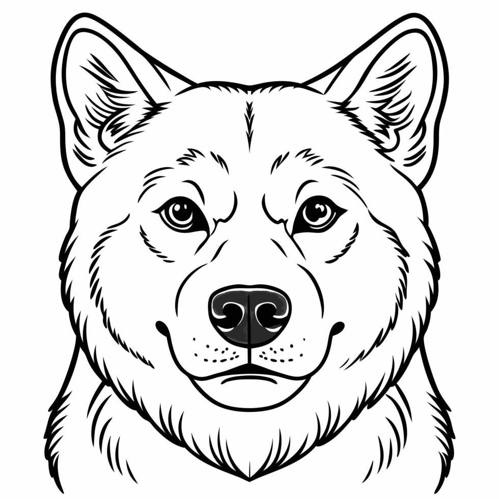 portrait akita inu, illustration line art vector