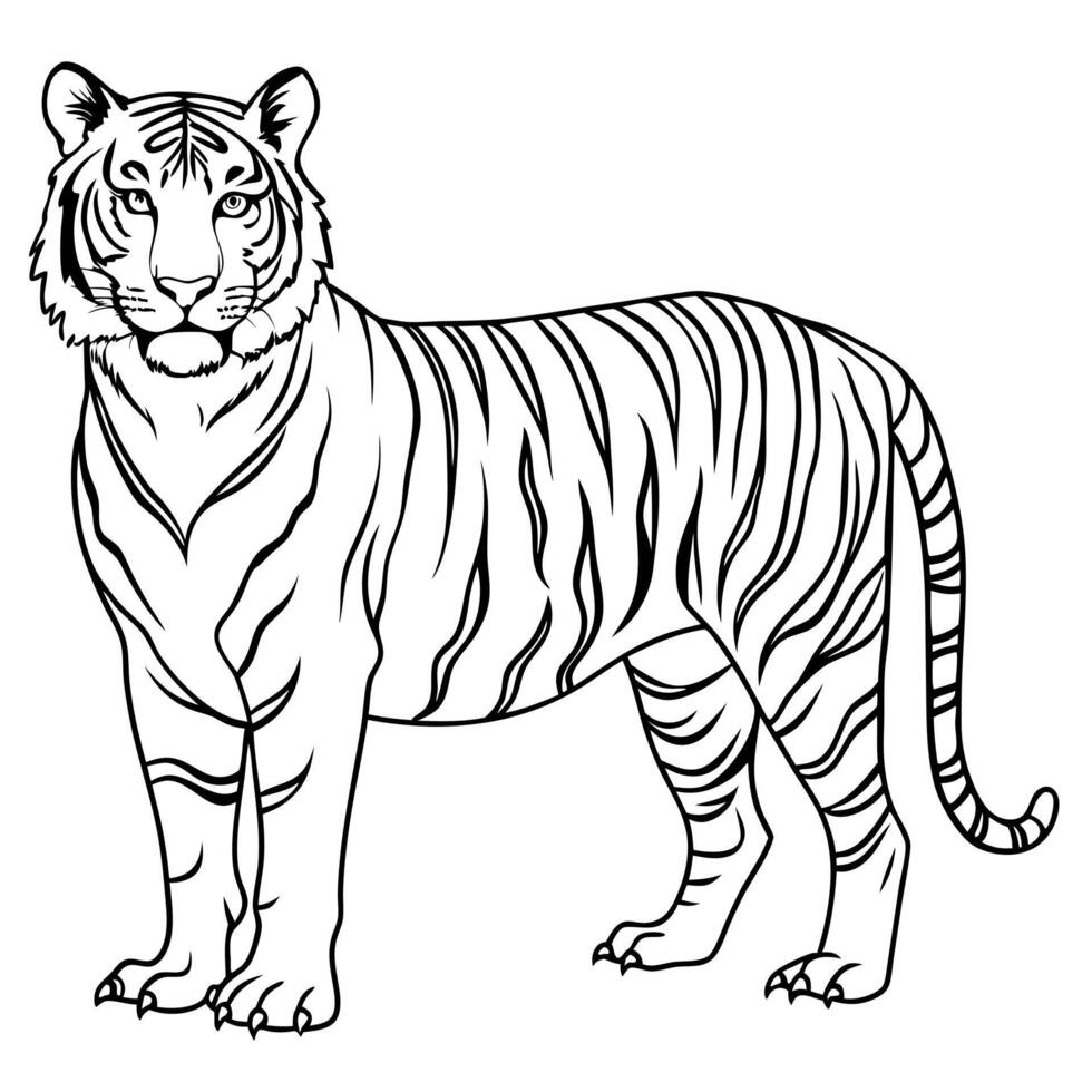 tiger full body, illustration line art vector