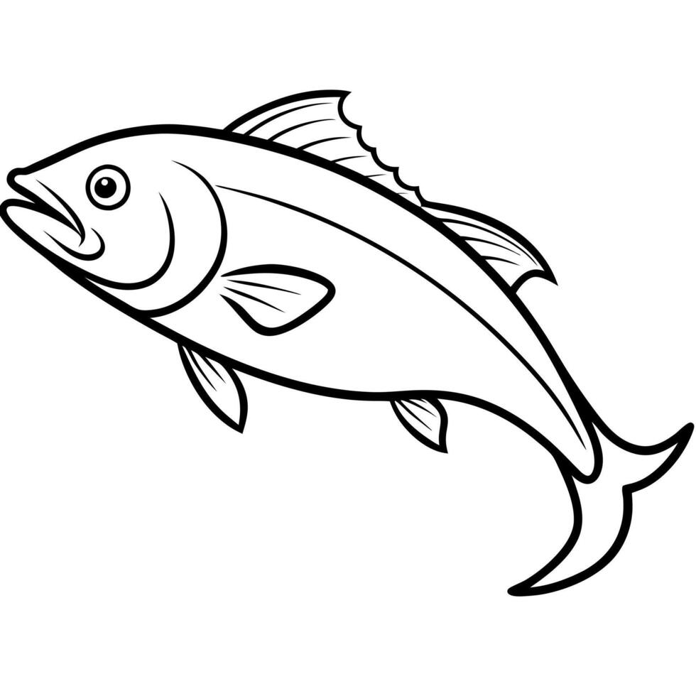 mahi-mahi, illustration line art vector