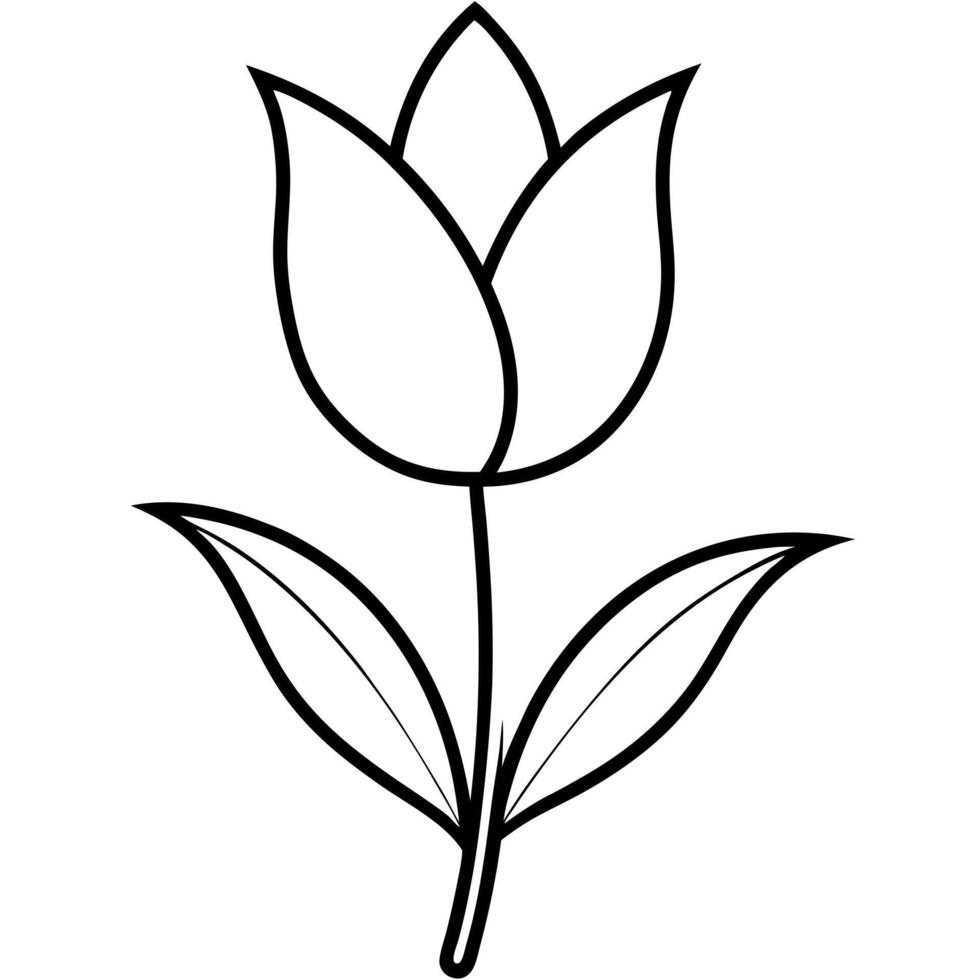 tulip silhouette illustration on white background, illustration line art vector