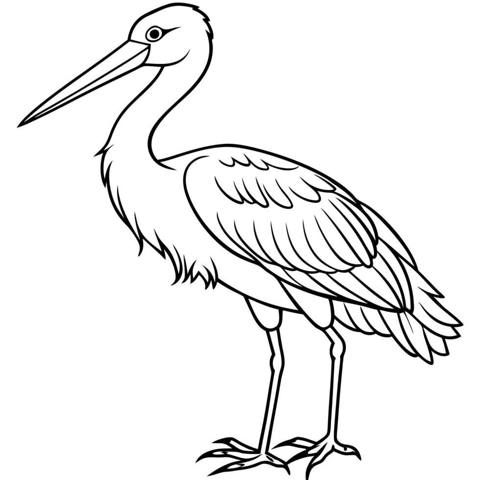 stork, white background, coloring page, illustration line art vector