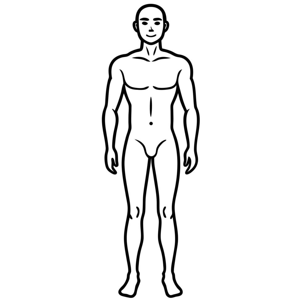 hand drawn human body outline illustration, illustration line art vector