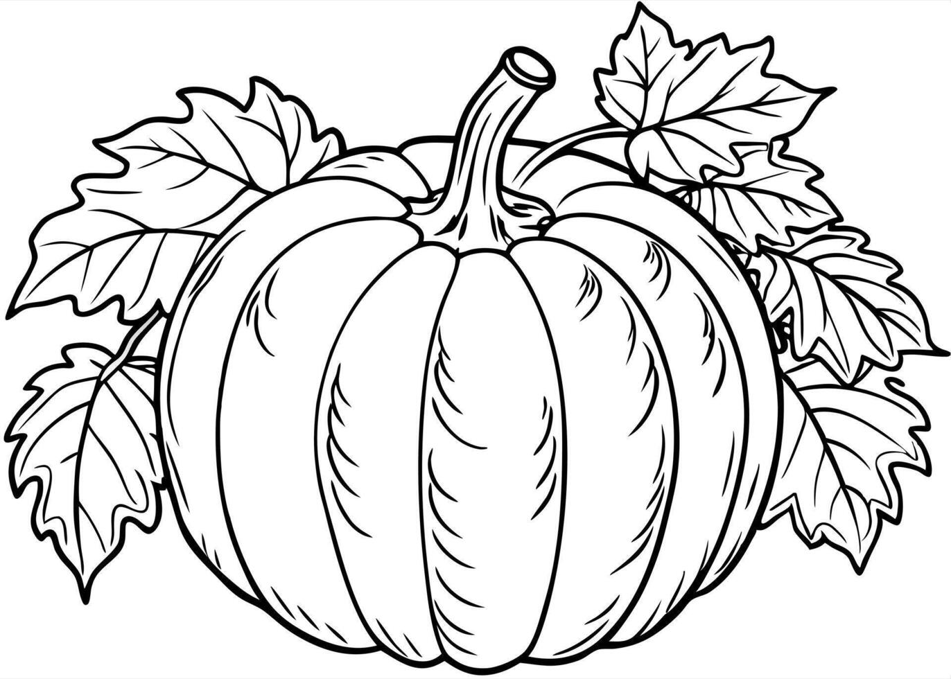 pumpkin with leaves, illustration line art vector