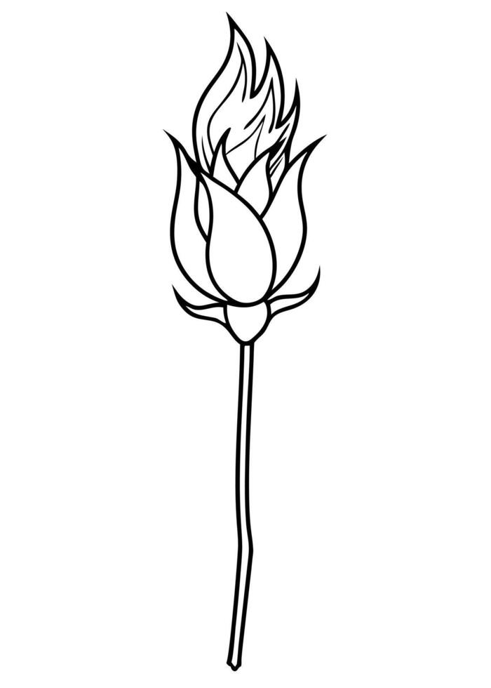 langstielige rose in flammen, illustration line art vector