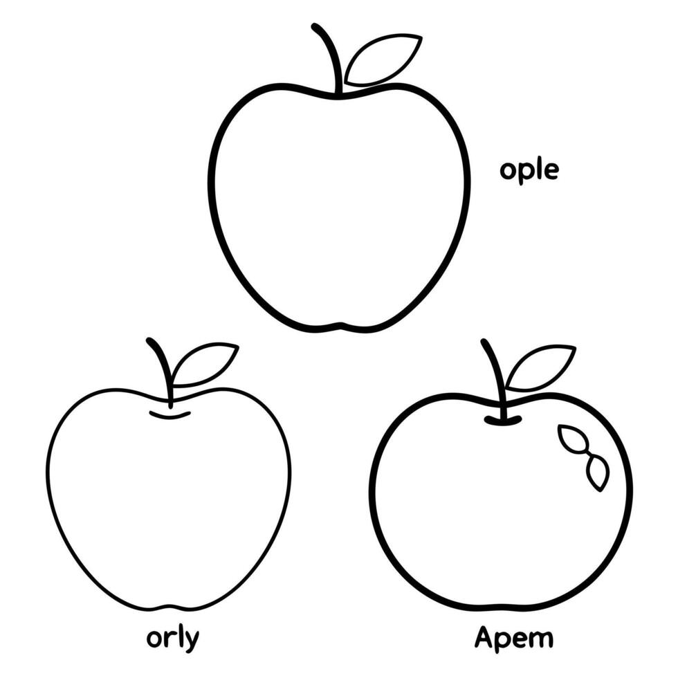 illustrate different types of apples, showcasing the variety of shapes and sizes eg, granny smith, vector