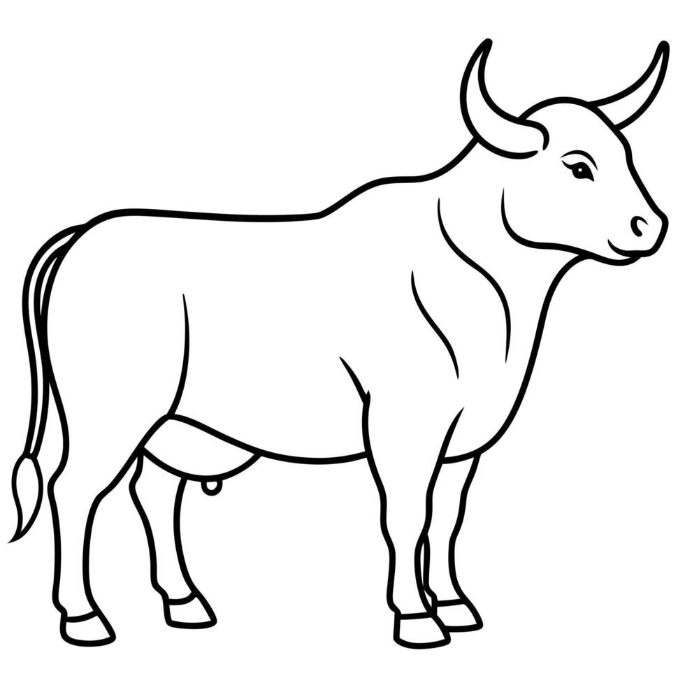 body spanish toro, illustration line art vector
