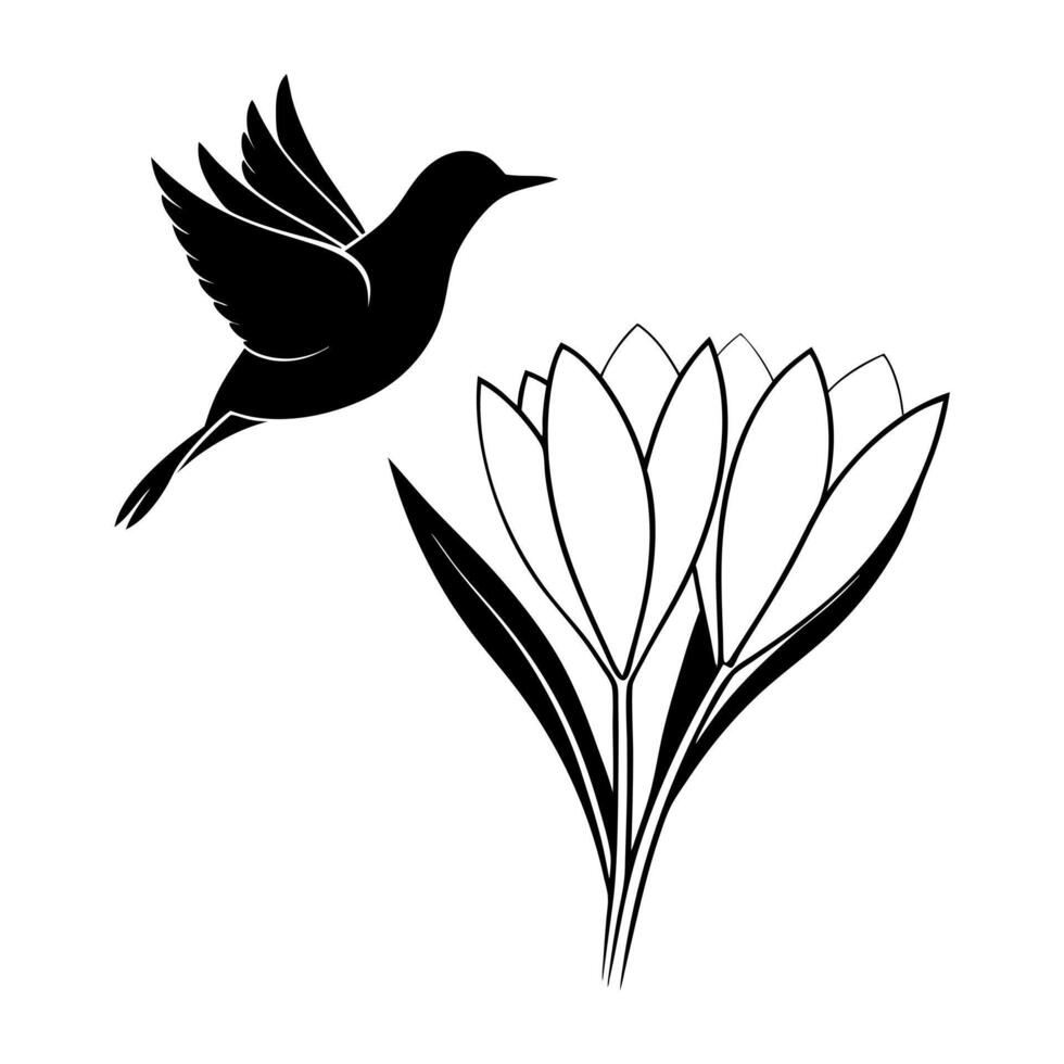 the bird is flying on this crocus flower, illustration line art vector