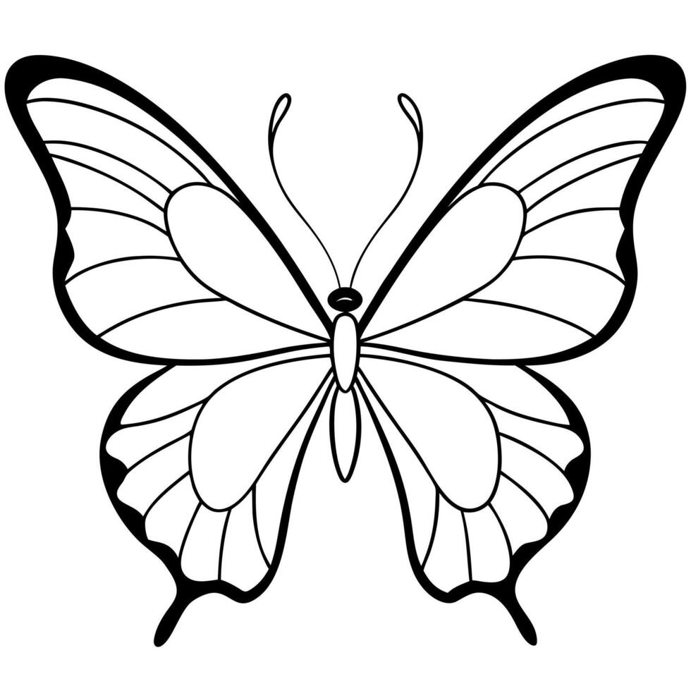 butterfly, illustration line art vector
