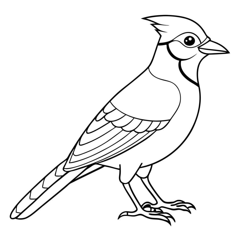 blue jay bird standing, illustration line art vector