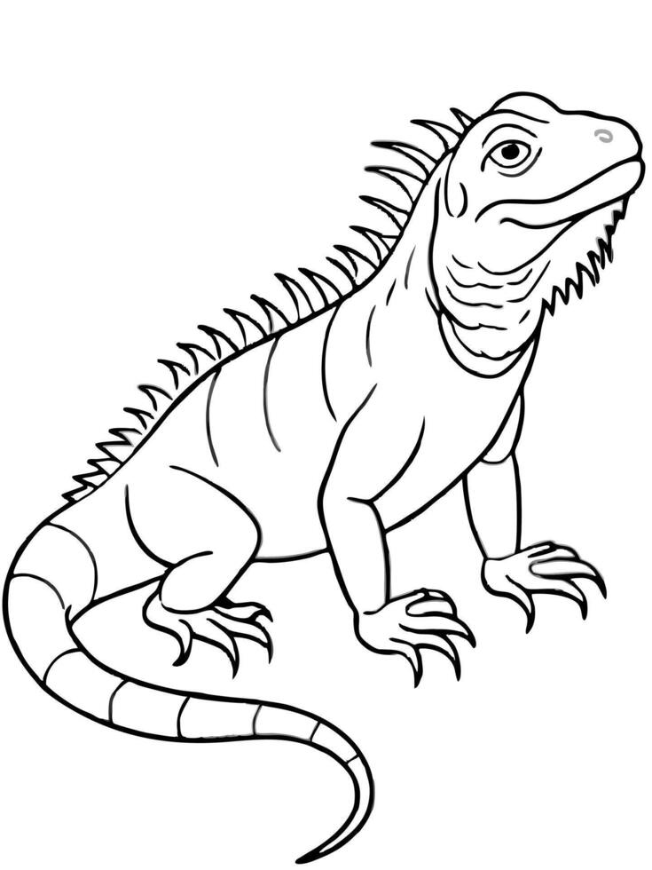iguana, illustration line art vector