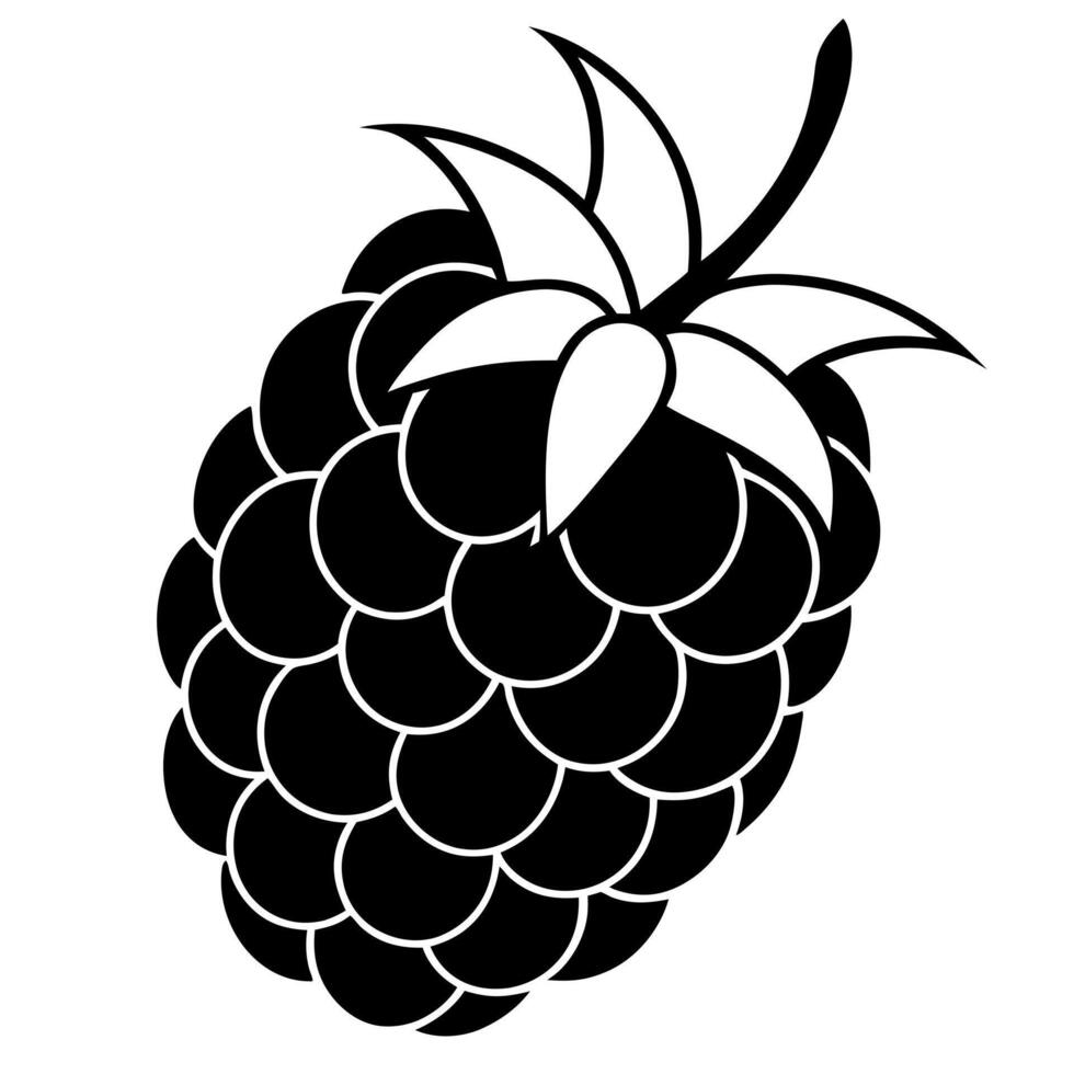 3d rendering of dynamic raspberry silhouette beautiful line art, illustration line art vector