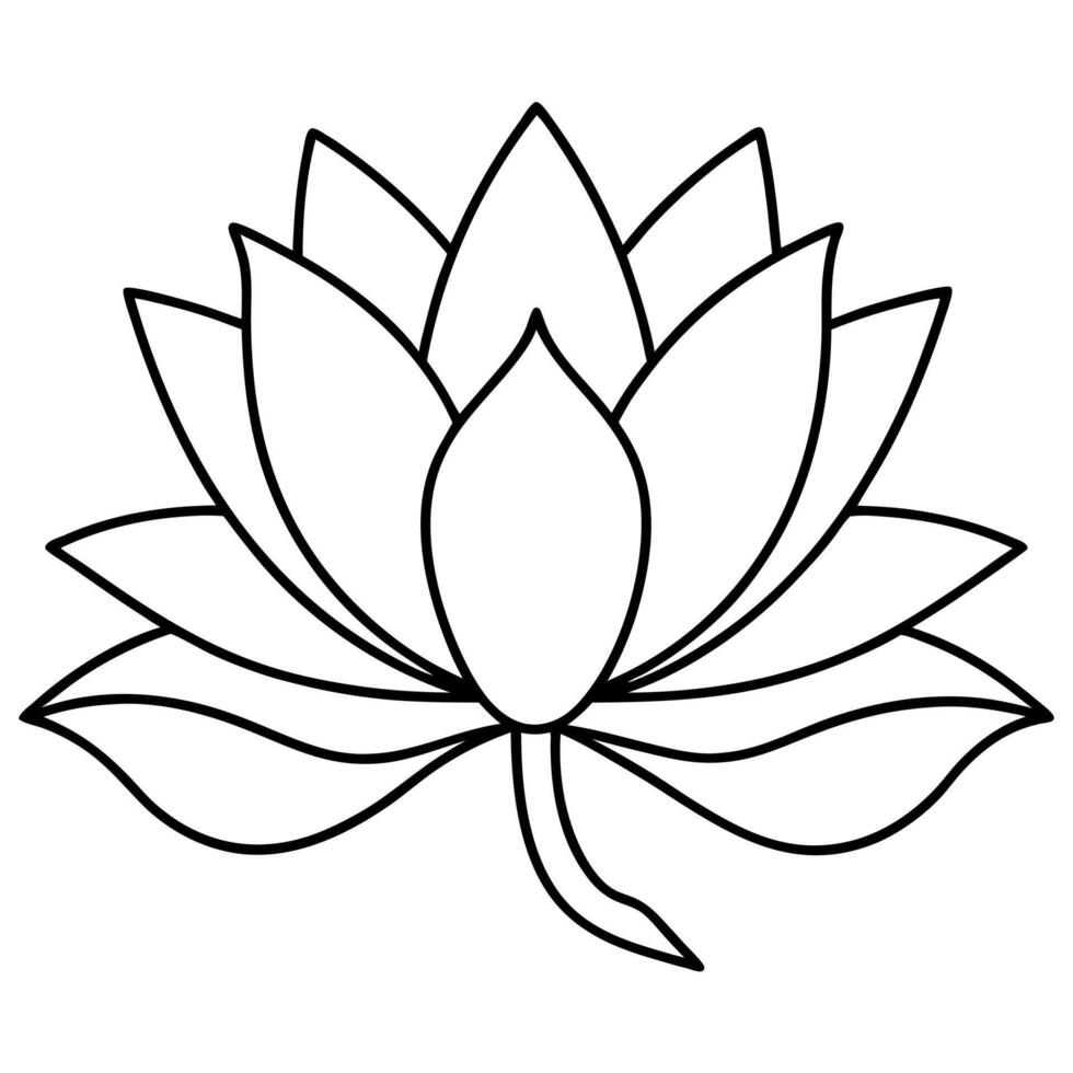 a lotus with leaf on a white background, illustration line art vector