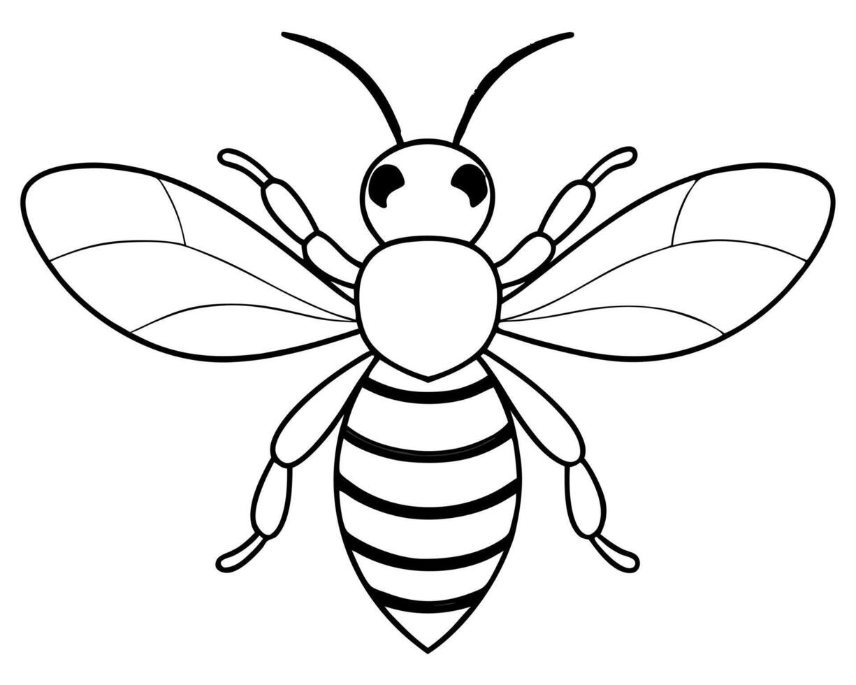 bee, illustration line art vector