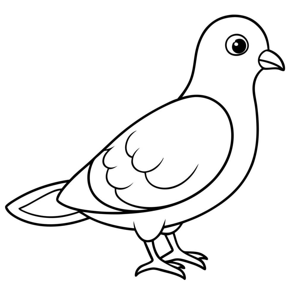 black outline cute a dove bird coloring page white background, illustration line art vector