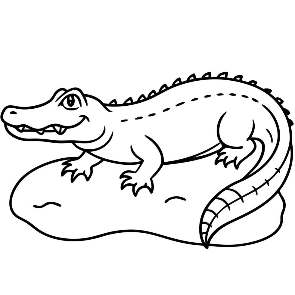 a american alligator background, illustration line art vector