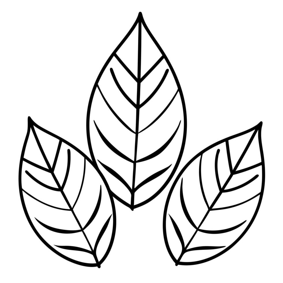hand drawn eco set of black line leaf icons on white background, illustration line art vector
