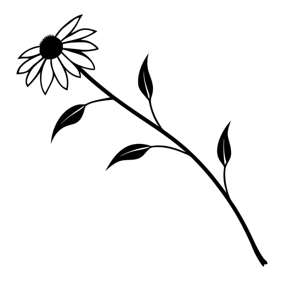 rudbeckia flowers on a crooked branch, illustration line art vector