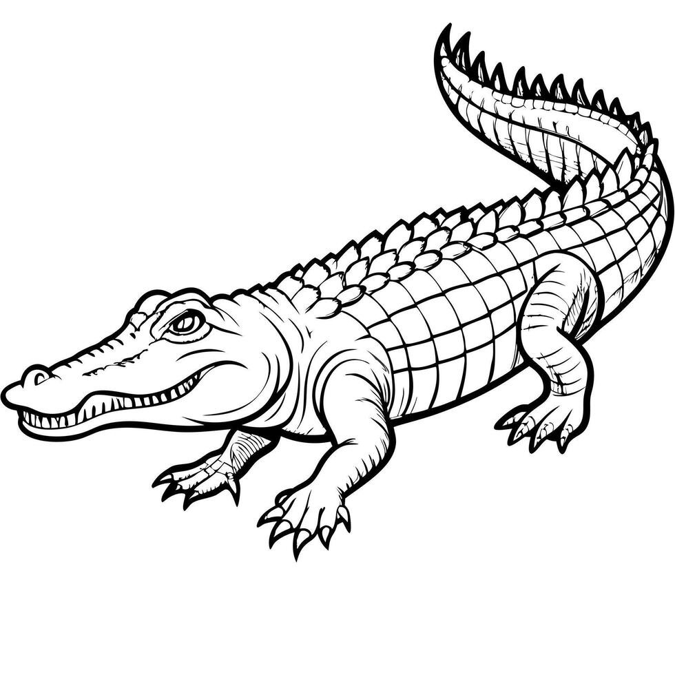 a crocodile , full view, illustration line art vector
