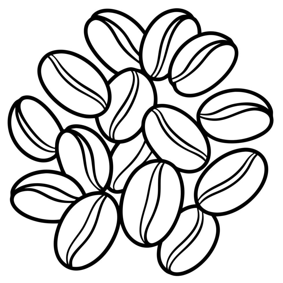 coffee beans, illustration line art vector