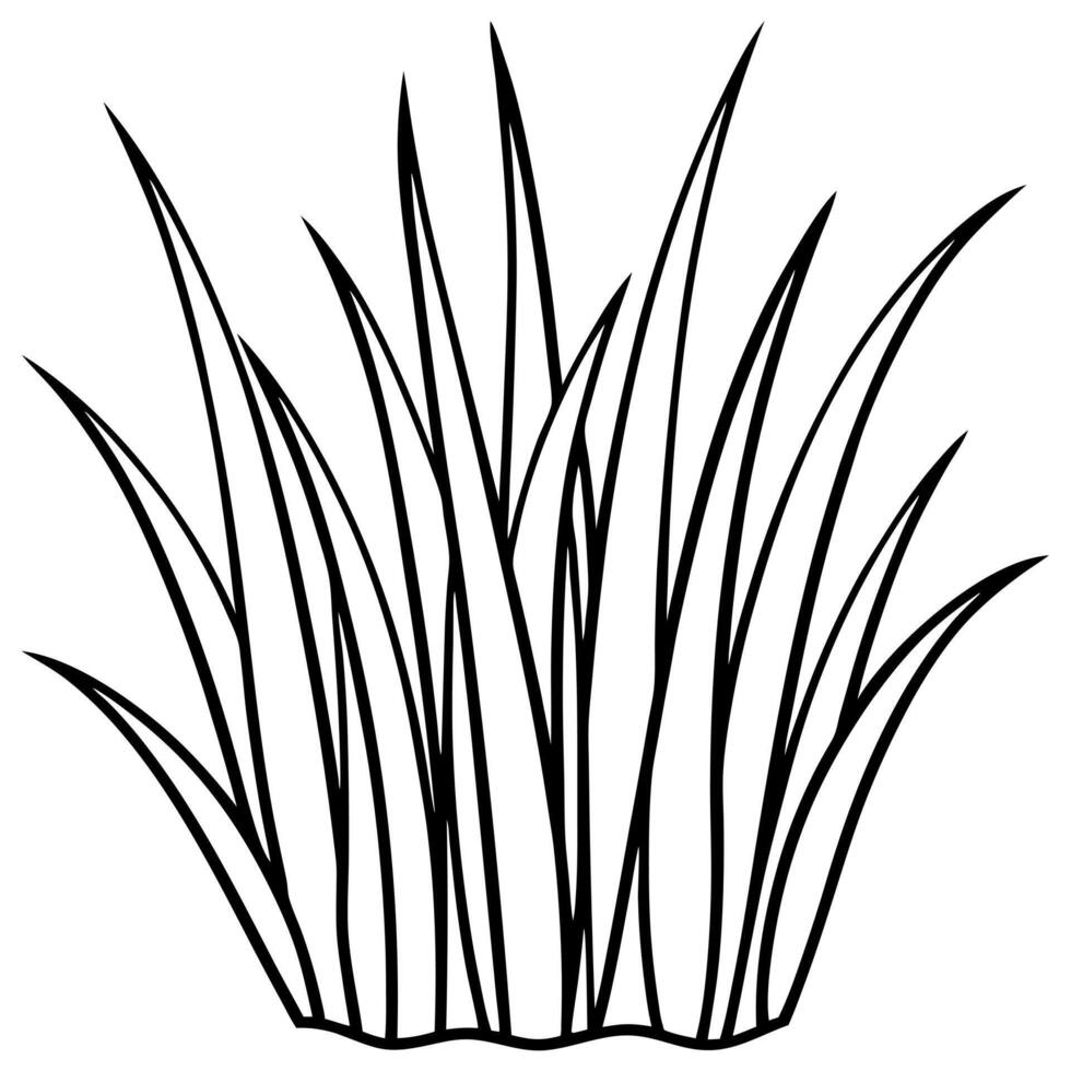 a grass, illustration line art vector