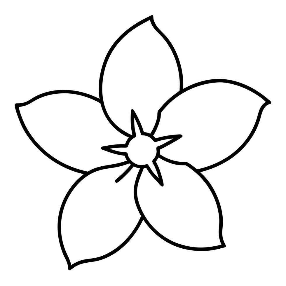 jasmine flower slice, illustration line art vector