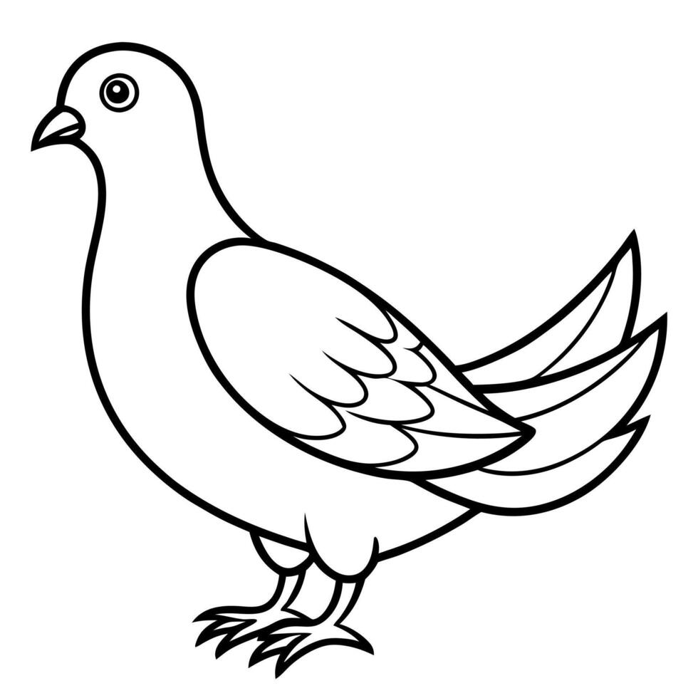 dove, illustration line art vector