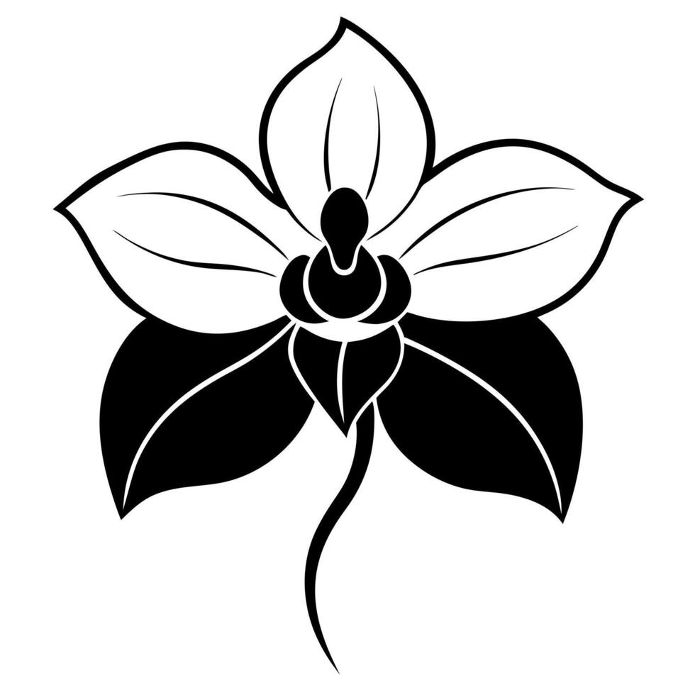 an image of orchid silhouette with a white background, illustration line art vector