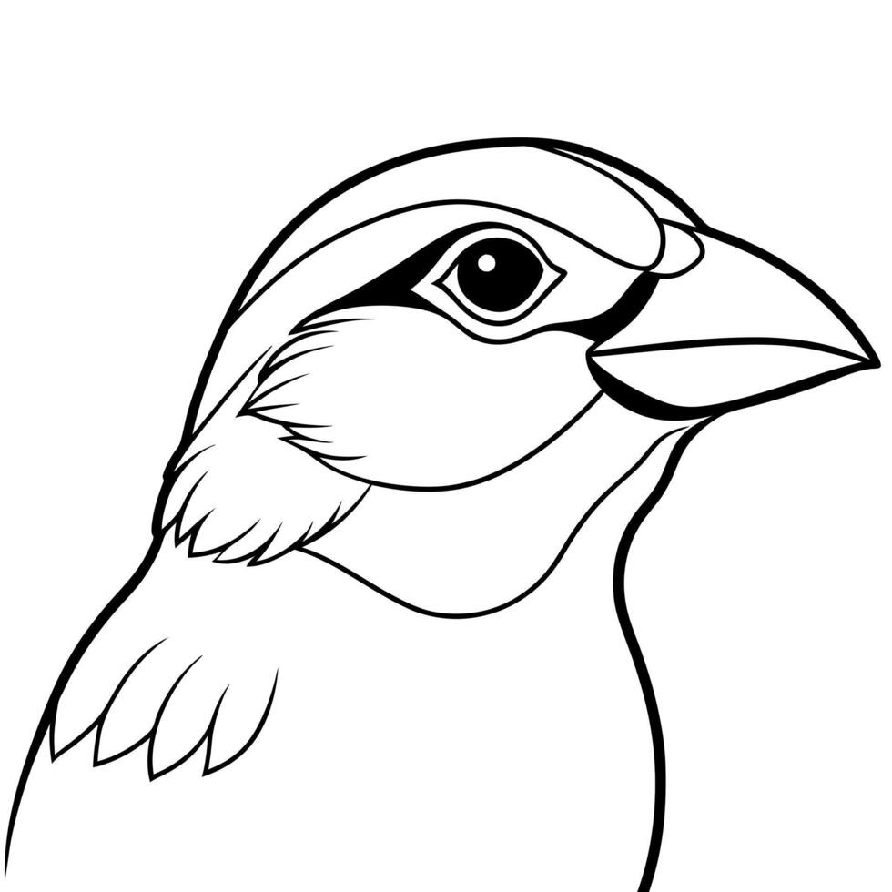 headed grosbeak bird, illustration line art vector
