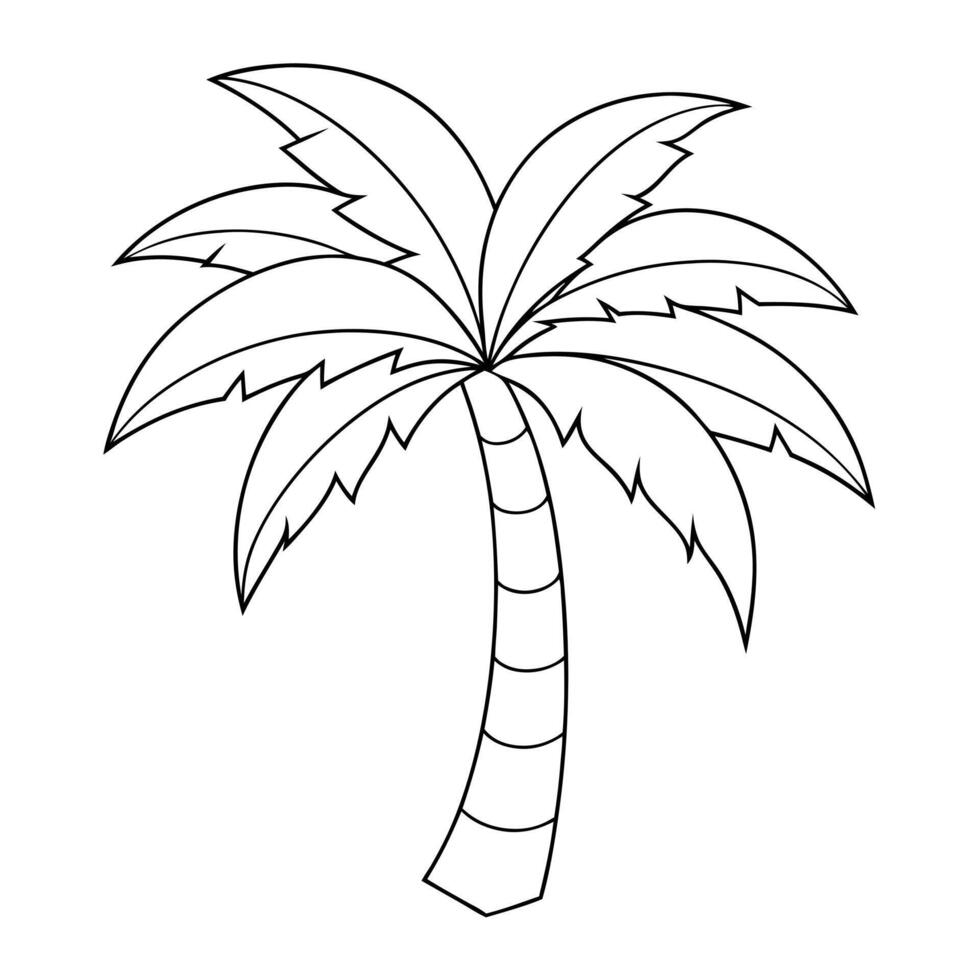 palm tree, illustration line art vector