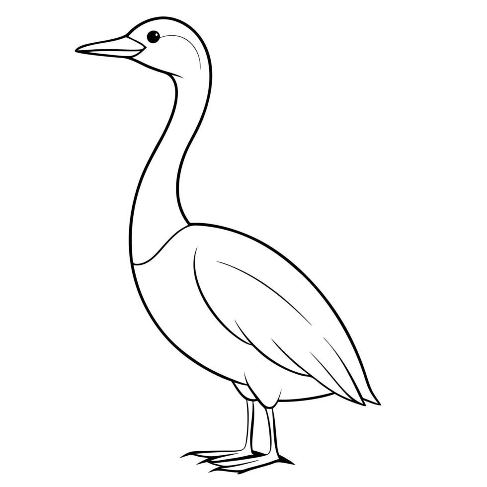 a grebe bird is standing, illustration line art vector