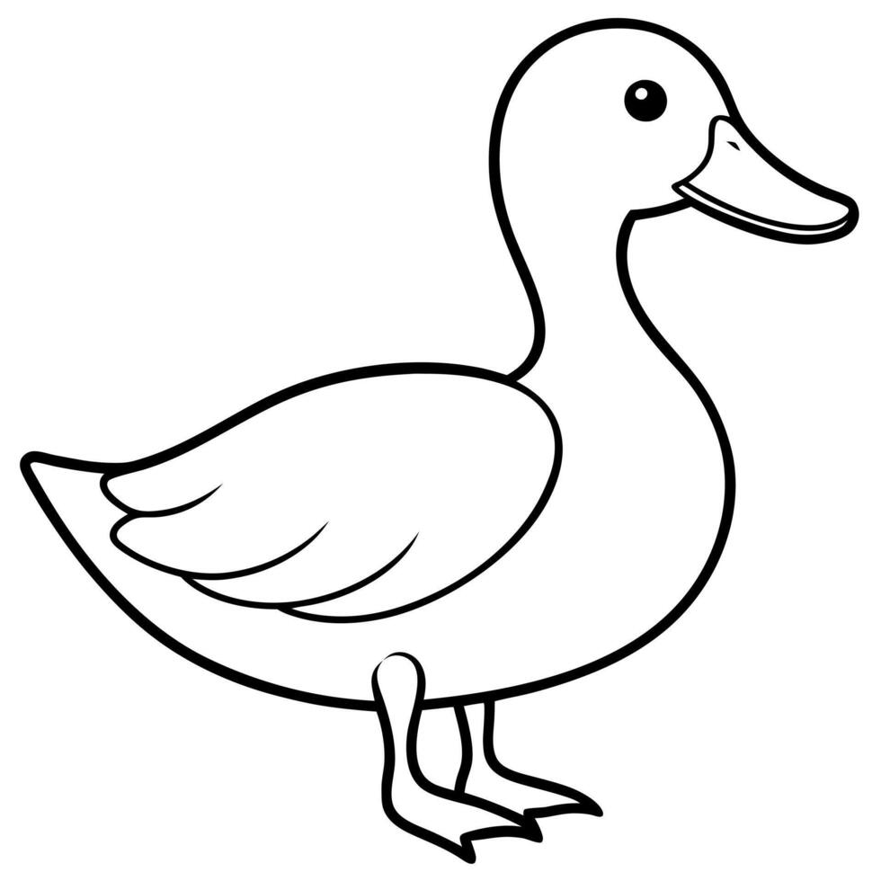 duck, illustration line art vector