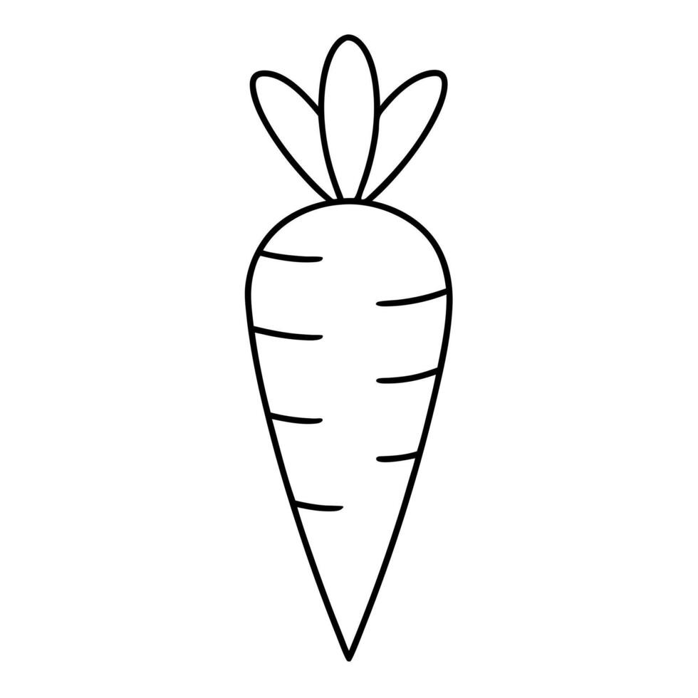 carrots, icon, minimalist, white background, illustration line art vector