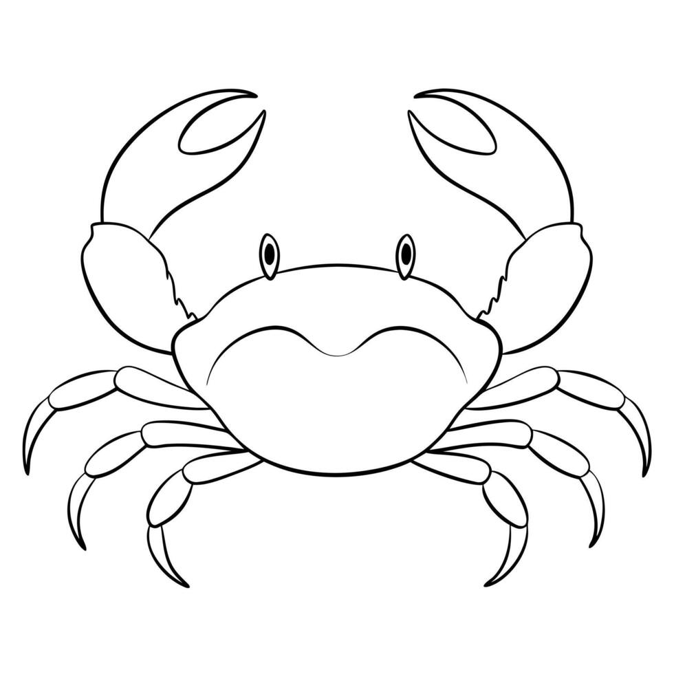 small crab, illustration line art vector
