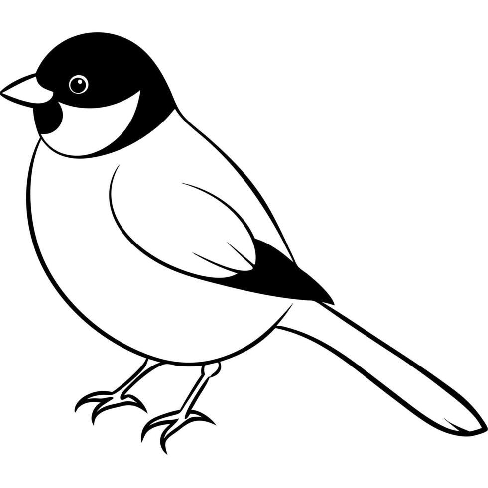 chickadee, illustration line art vector