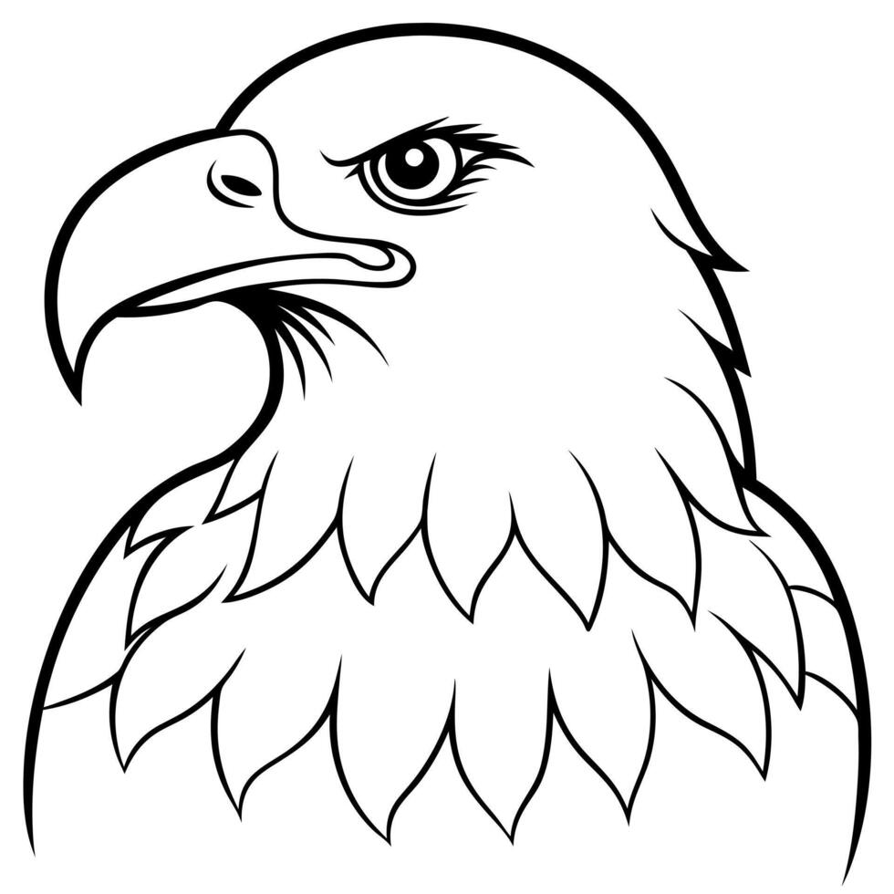 a bald eagle white background, illustration line art vector