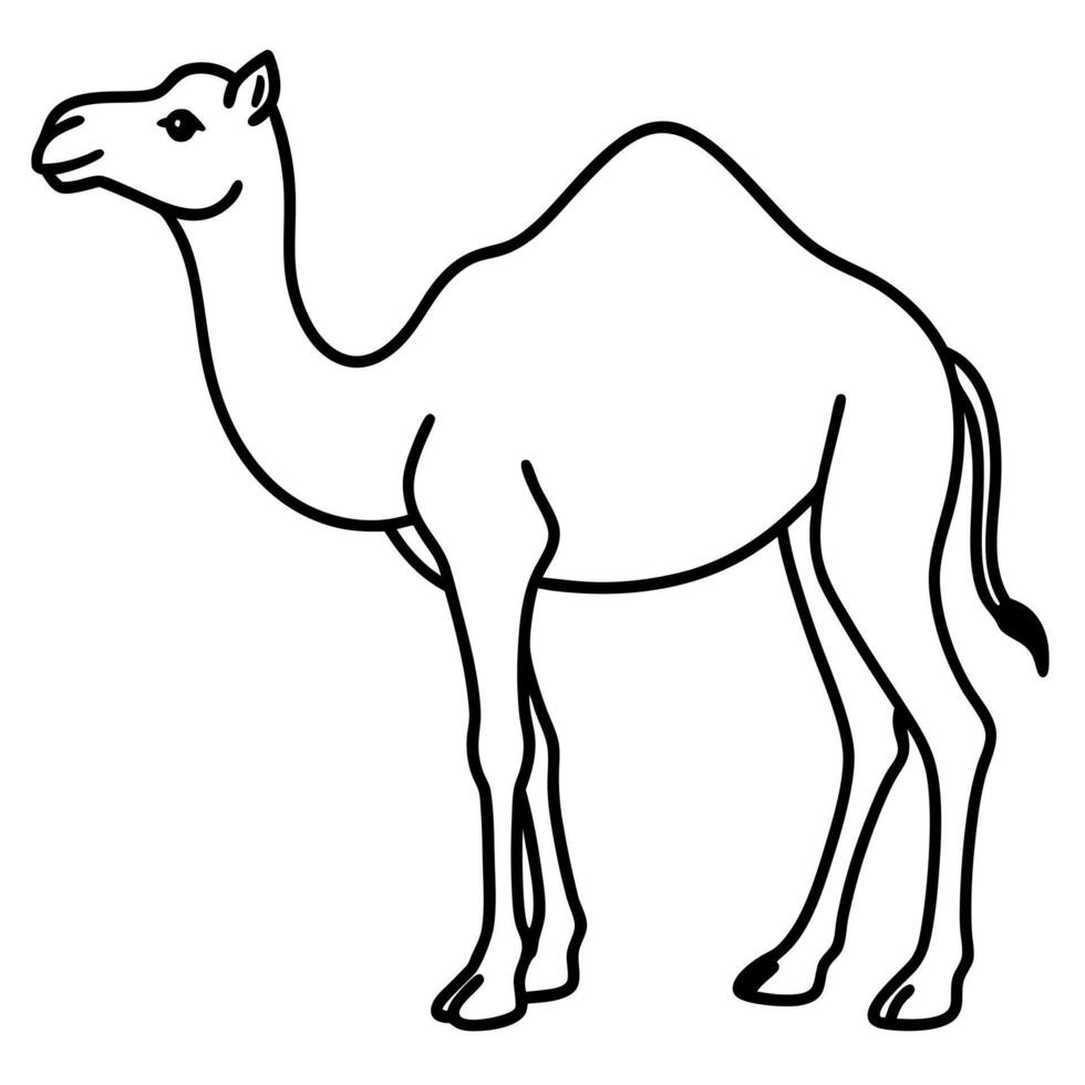 camel on white background, illustration line art vector