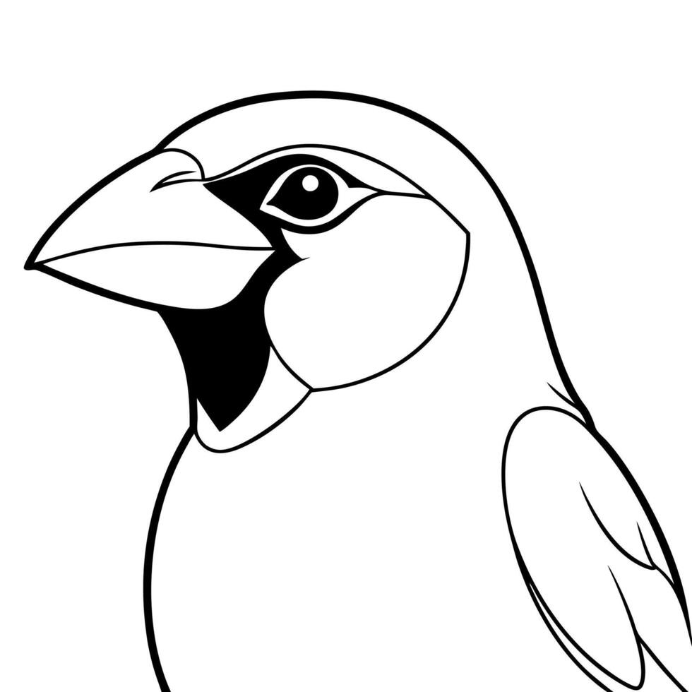 headed grosbeak bird, illustration line art vector