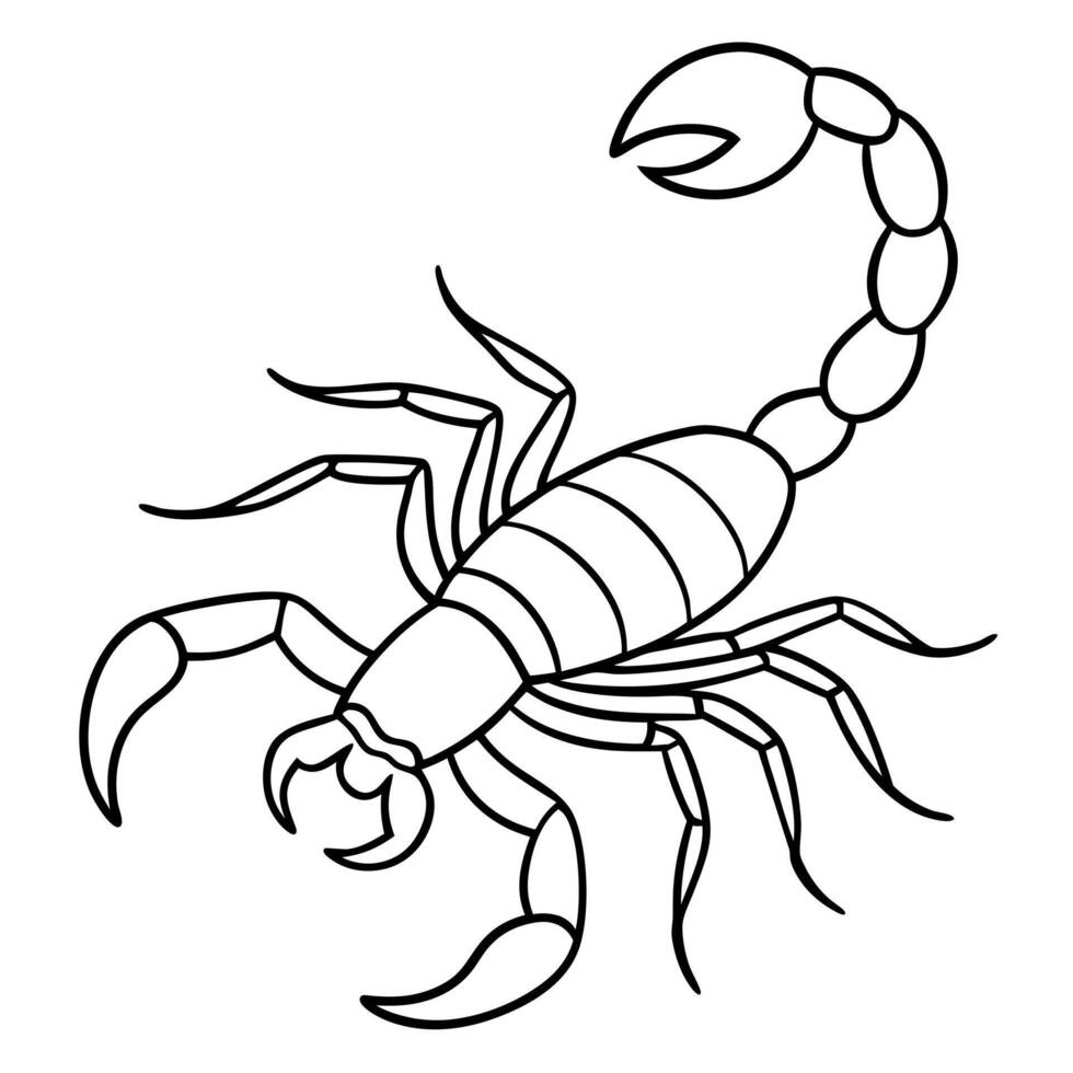 scorpion, illustration line art vector