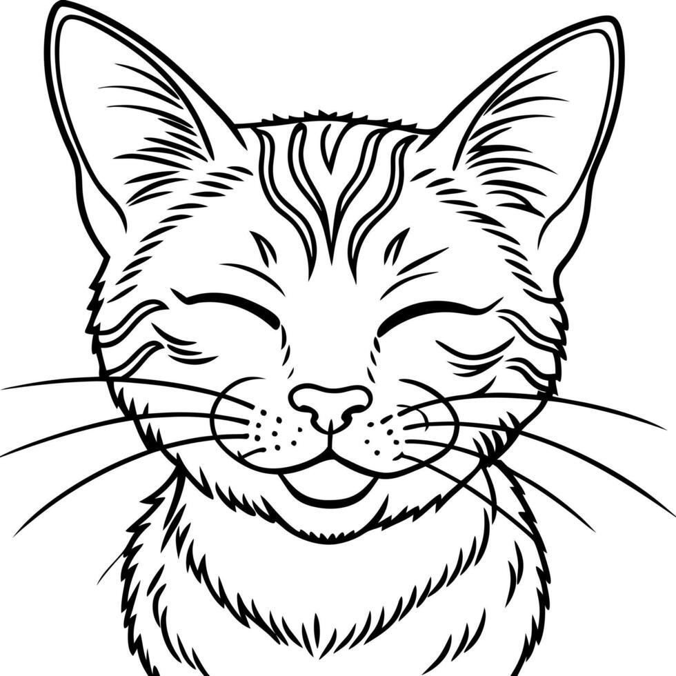 cat squints, illustration line art vector