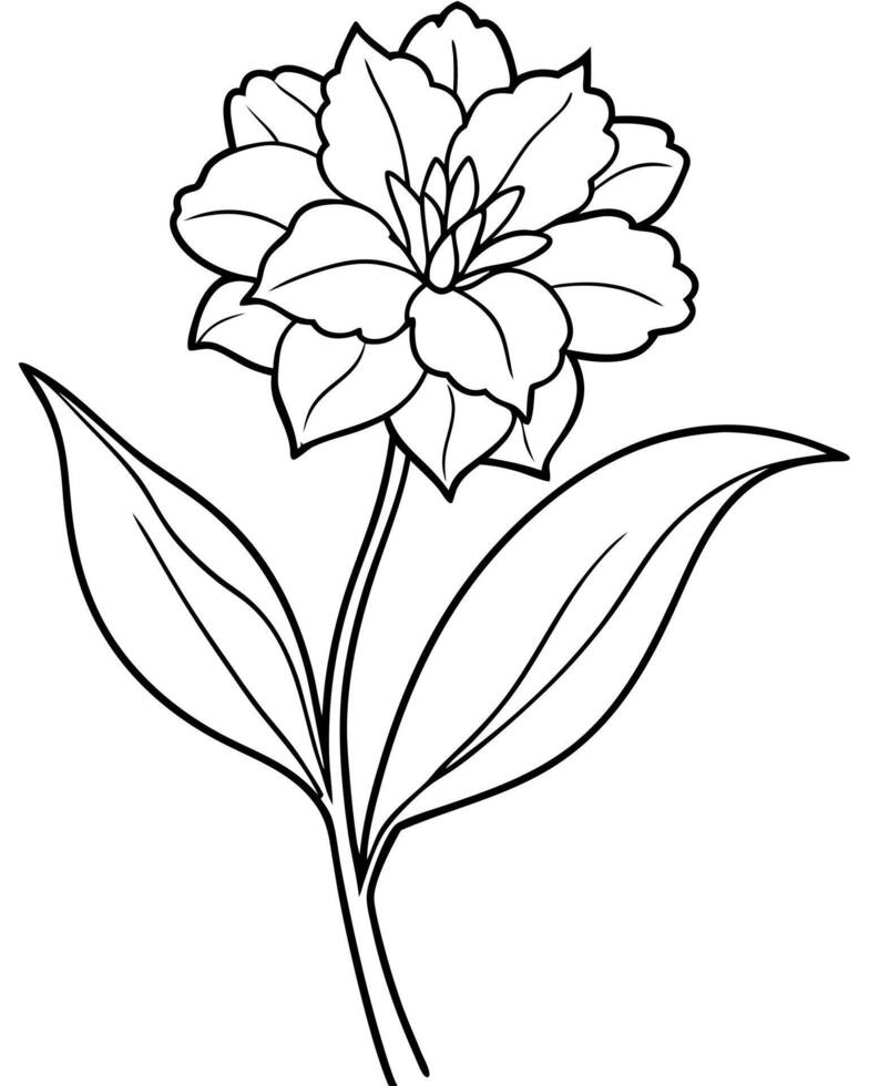 a coloring page of an lychnis flower with no color just black lines