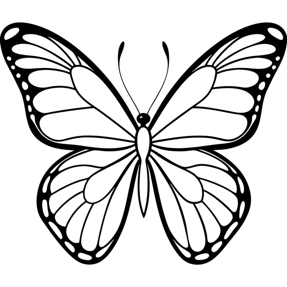 monarch butterfly, illustration line art vector