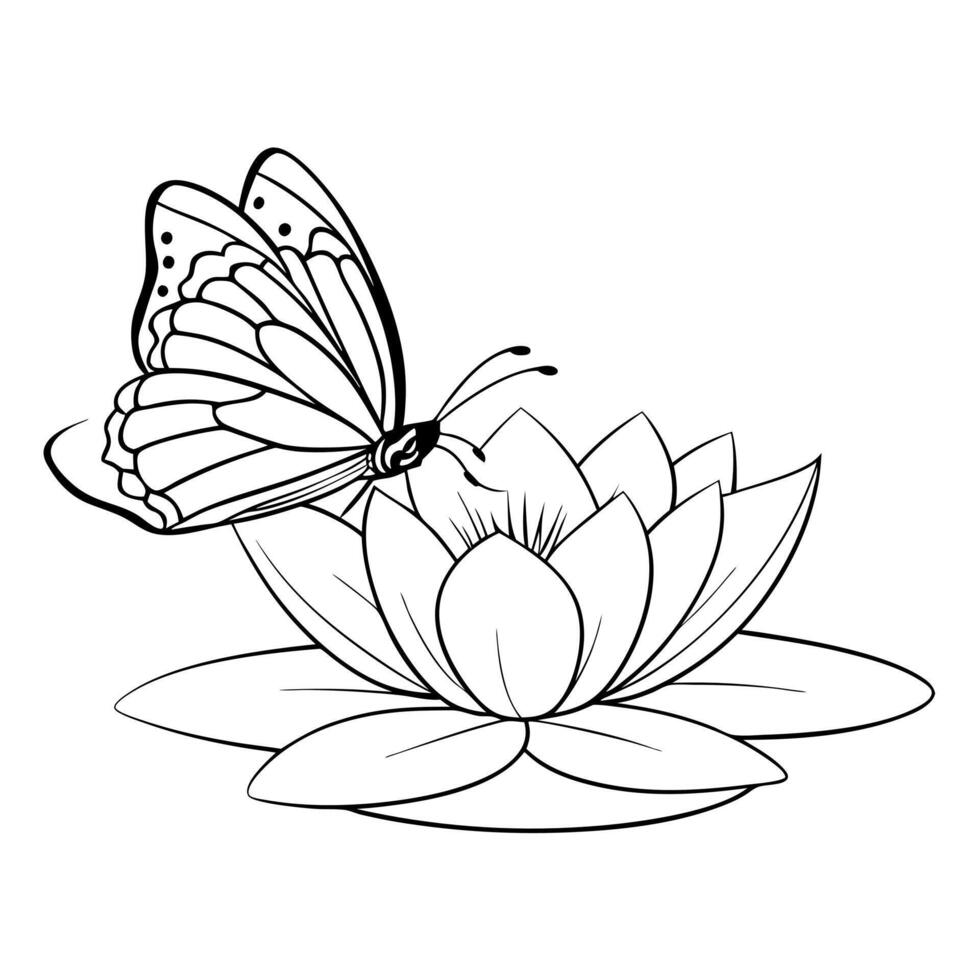 a butterfly is extracting nectar from a water lily flower, illustration line art vector