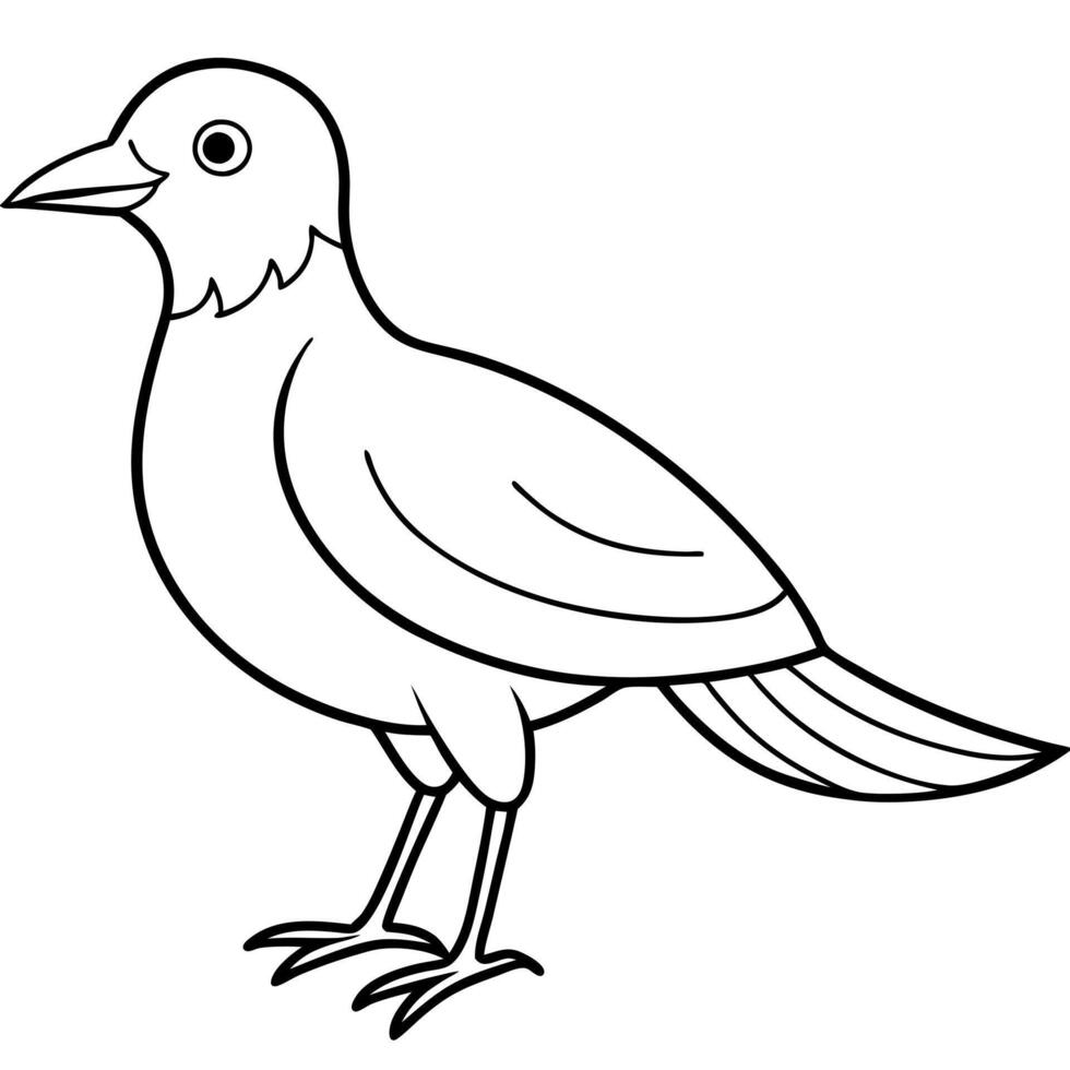 bird, illustration line art vector