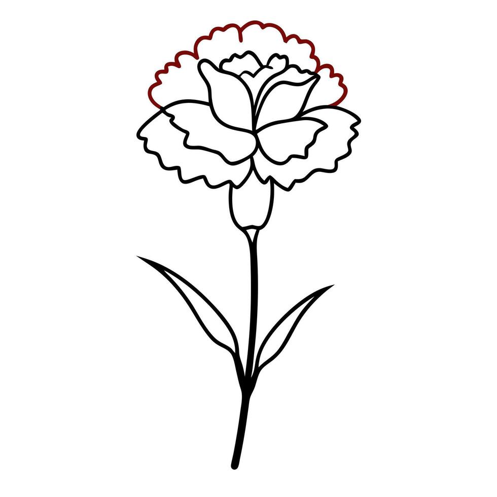 red carnation, illustration line art vector