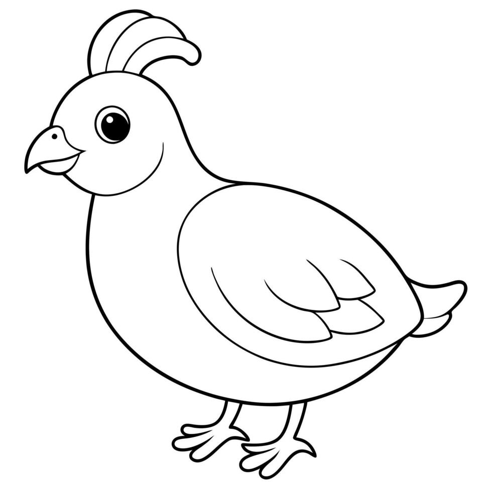 cute quail, simple line art style, white background, coloring page for kids, kawaii cartoon vector