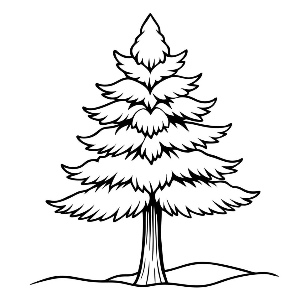 pine tree, illustration line art vector