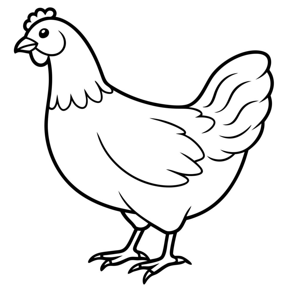 chicken, illustration line art vector